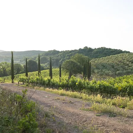 Poggio Corbello La Pesta