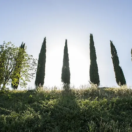 Çiftlik konaklama Poggio Corbello