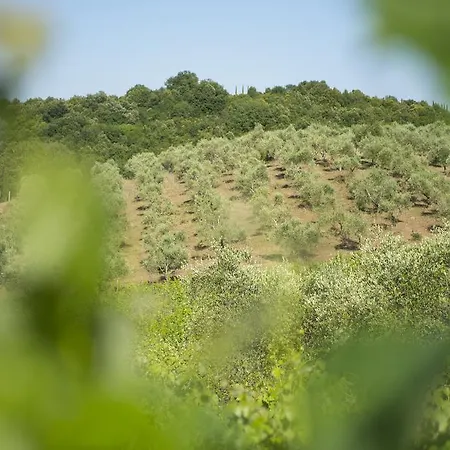 Poggio Corbello Çiftlik konaklama *