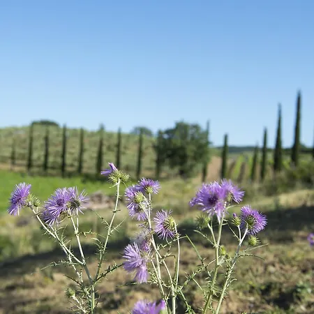 Poggio Corbello Çiftlik konaklama *